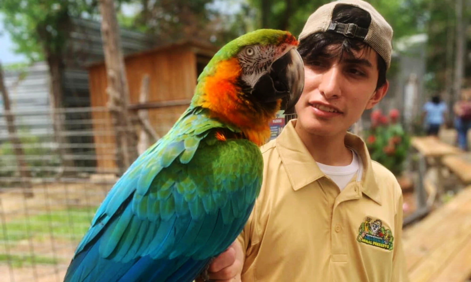 preschool spring branch tx daycare speaker houston aquarium birds